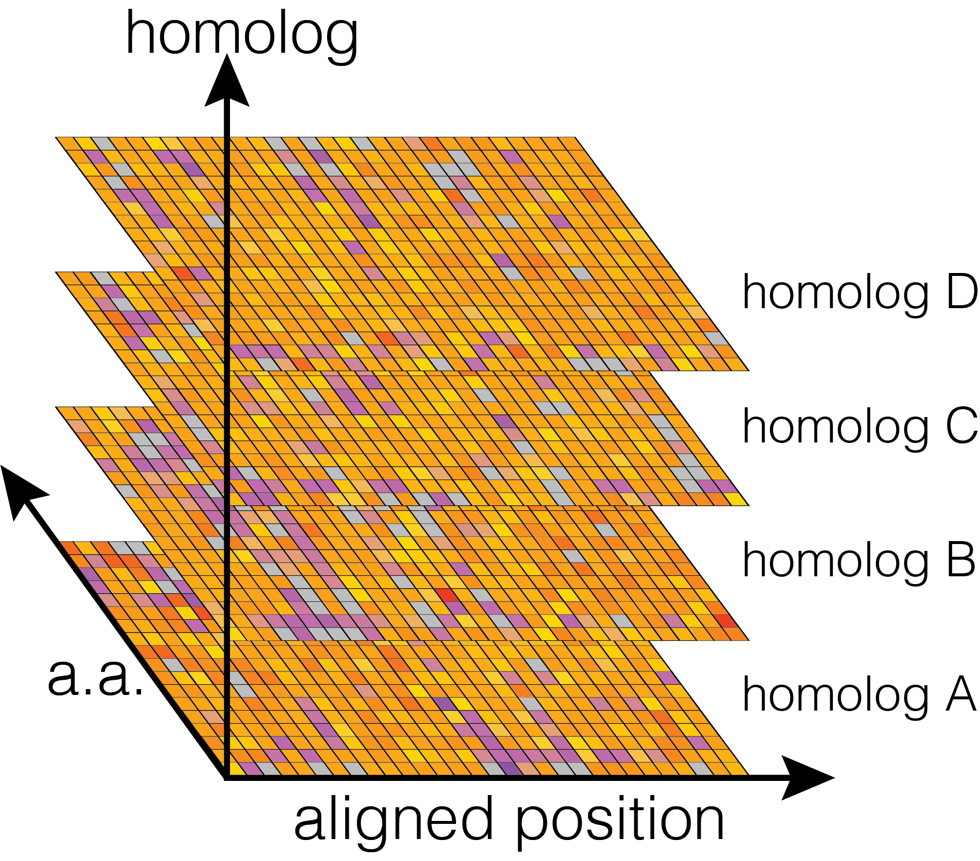 Broad Mutational Scanning